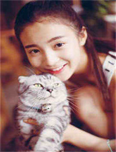 lulushe